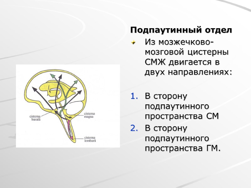 Подпаутинный отдел Из мозжечково-мозговой цистерны СМЖ двигается в двух направлениях:  В сторону подпаутинного